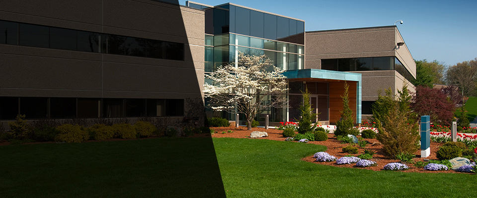 Orchard Park Landscapers