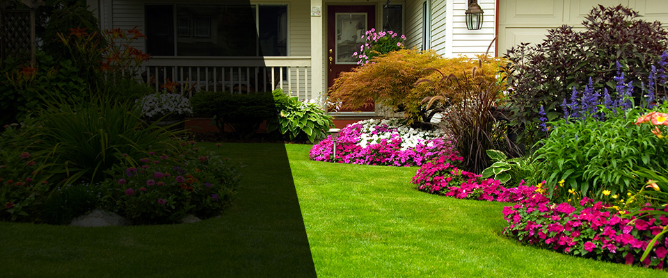 Orchard Park Landscapers