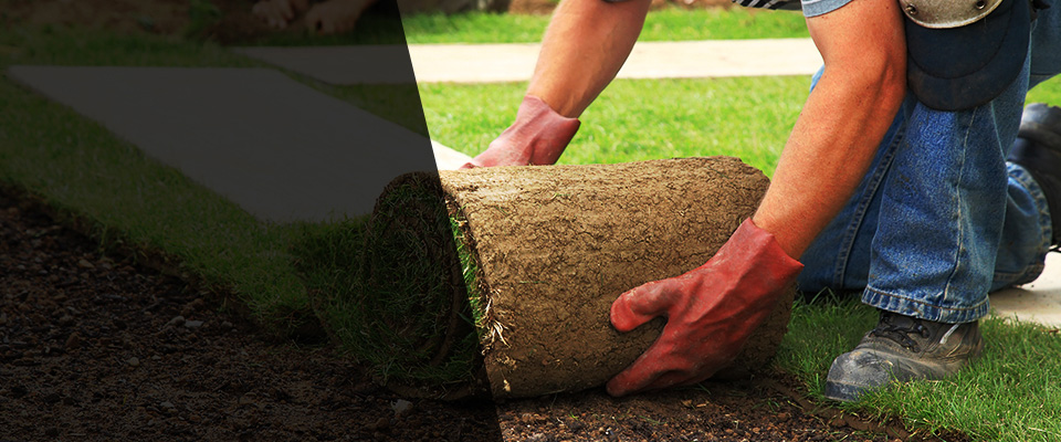 Orchard Park Landscapers